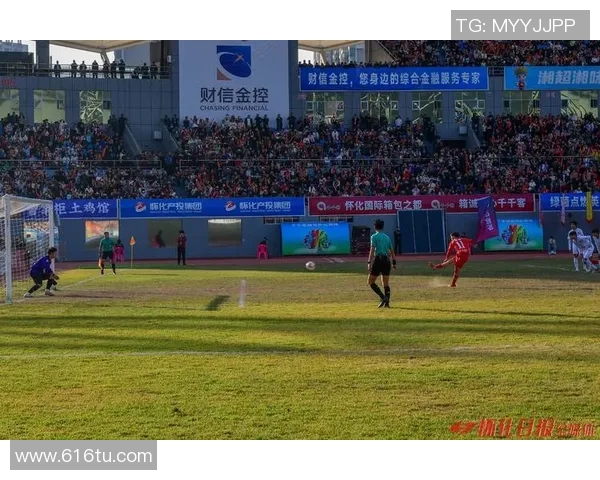 足球明星的成长历程与辉煌成就全方位解析